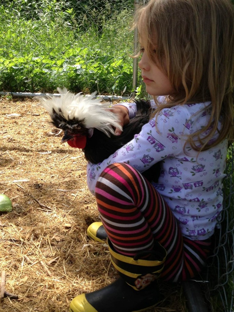 photo-3